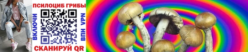 Галлюциногенные грибы MAGIC MUSHROOMS  Семилуки 